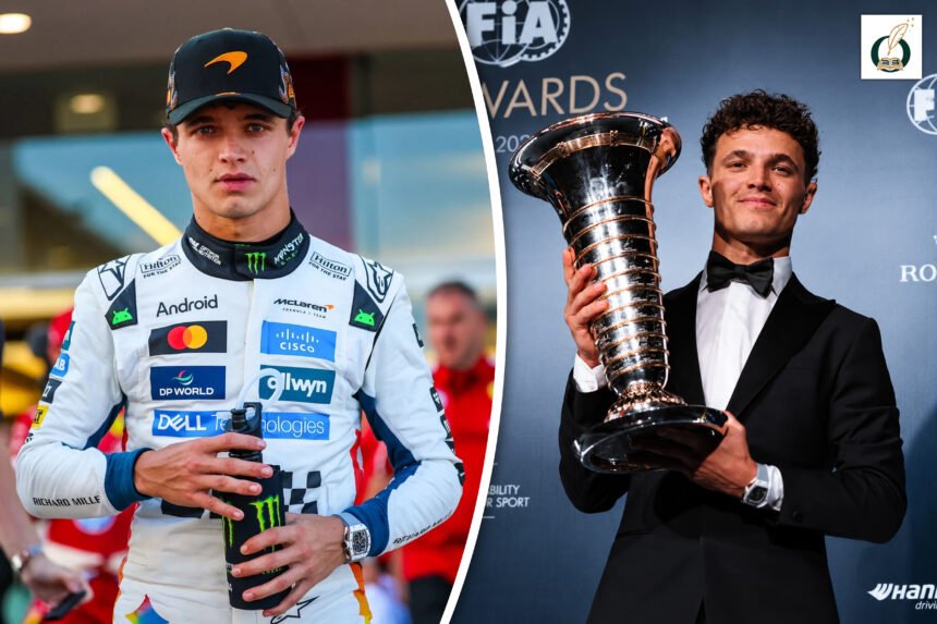 Lando Norris Alter